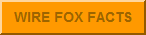 Wire Fox Terrier Facts